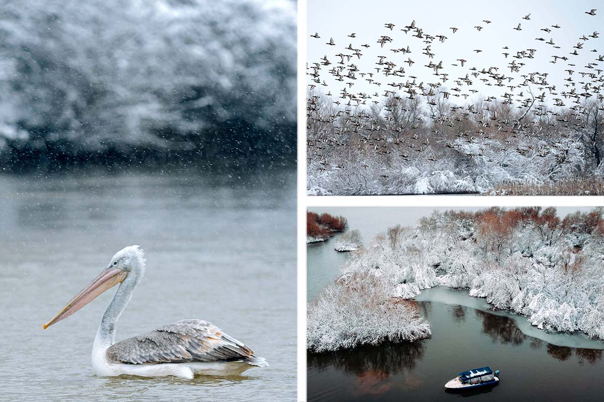 Ohne Worte… Winter im Delta der Donau